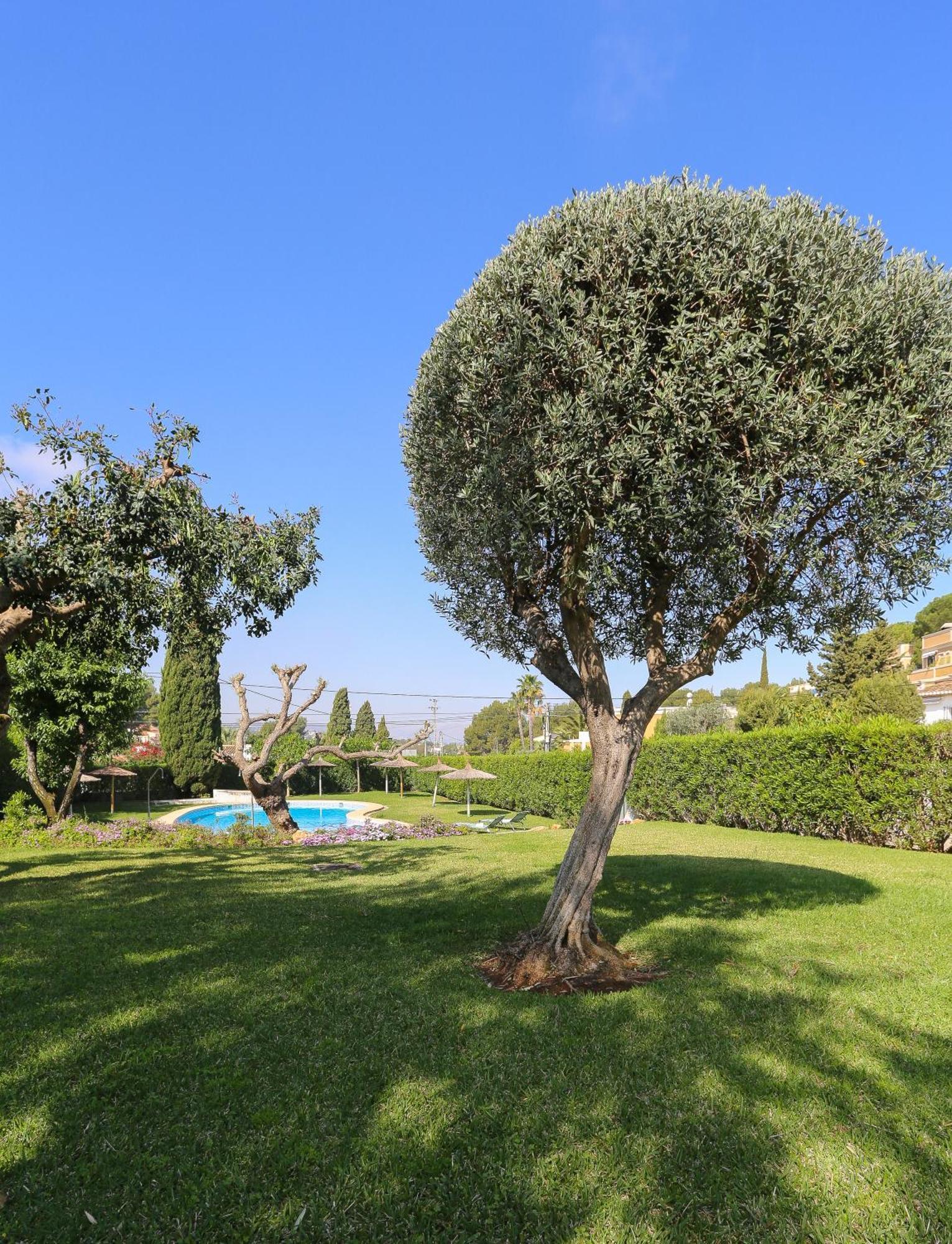 Retiro Sol - Apartamento Montesol B22 Denia Εξωτερικό φωτογραφία